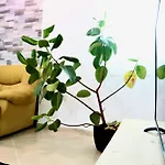 The Bllok Spot