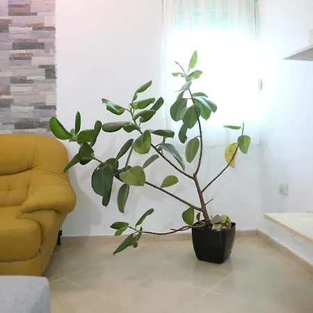 Apartament The Bllok Spot Tirana