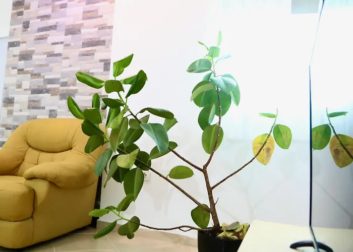 Apartment The Bllok Spot Tirana